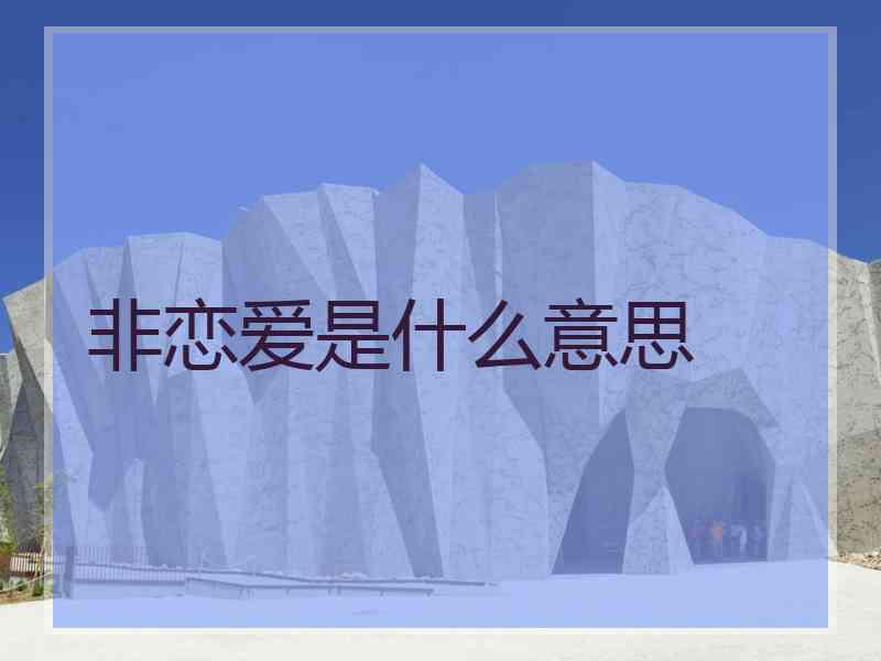 非恋爱是什么意思