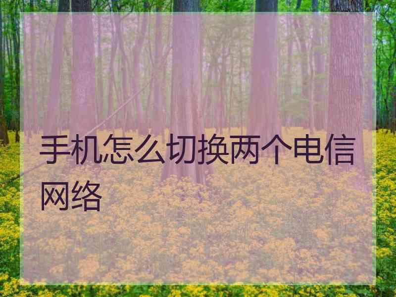 手机怎么切换两个电信网络