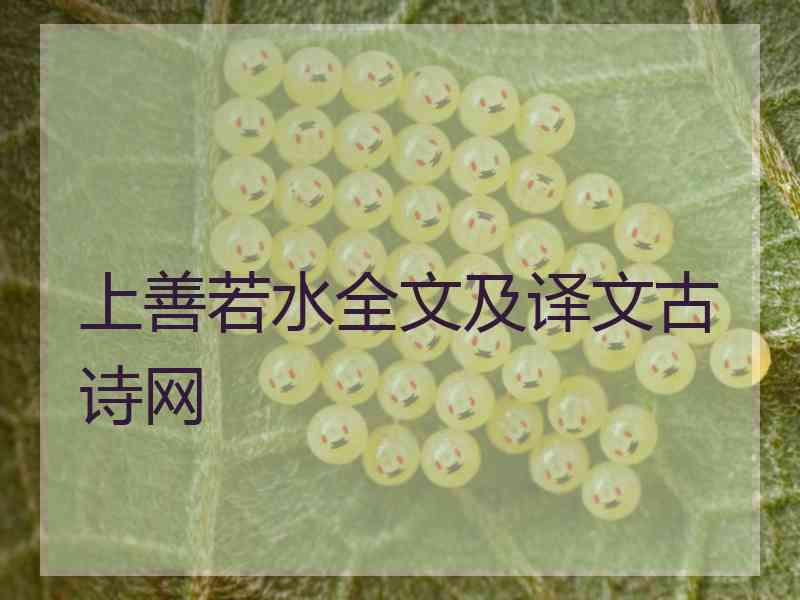 上善若水全文及译文古诗网