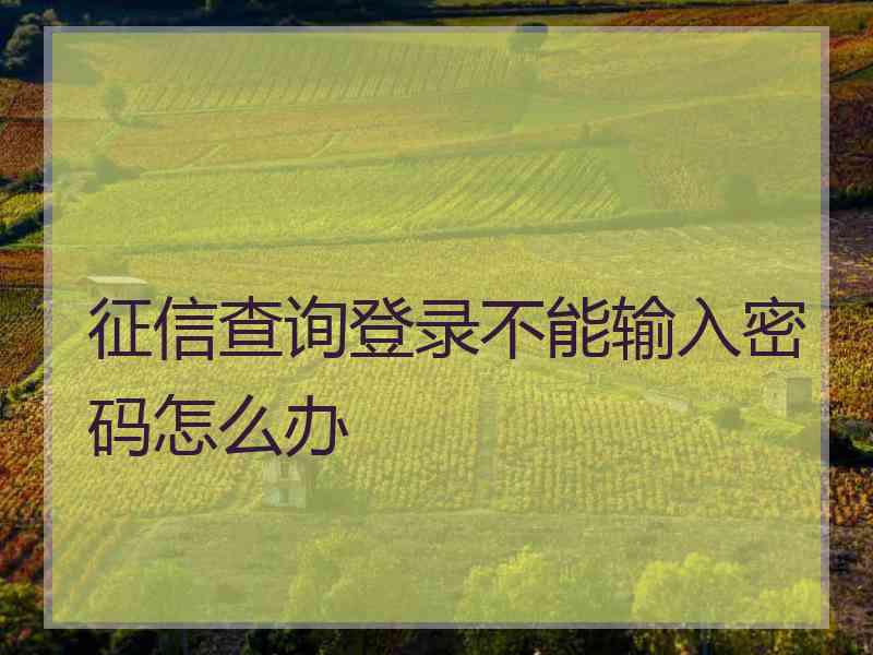 征信查询登录不能输入密码怎么办