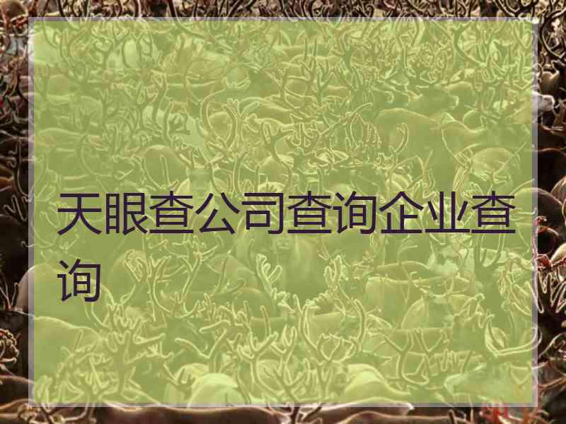 天眼查公司查询企业查询