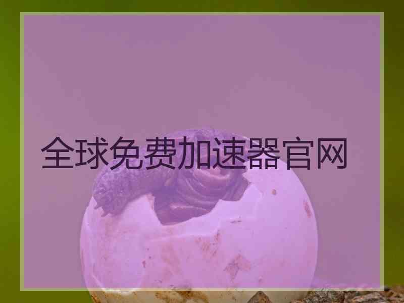 全球免费加速器官网