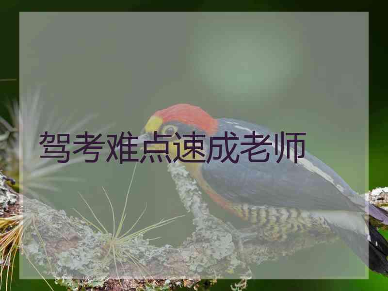 驾考难点速成老师