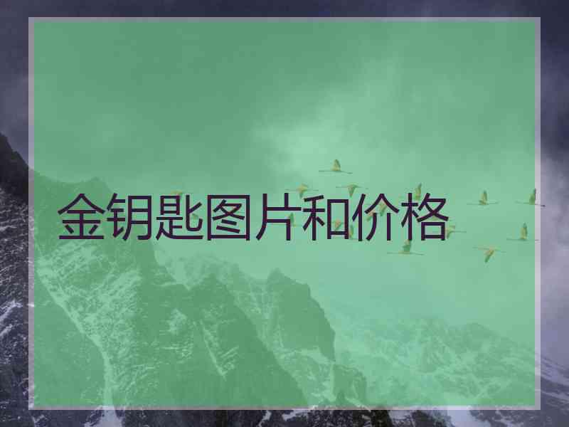 金钥匙图片和价格