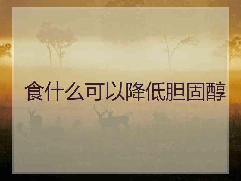 食什么可以降低胆固醇