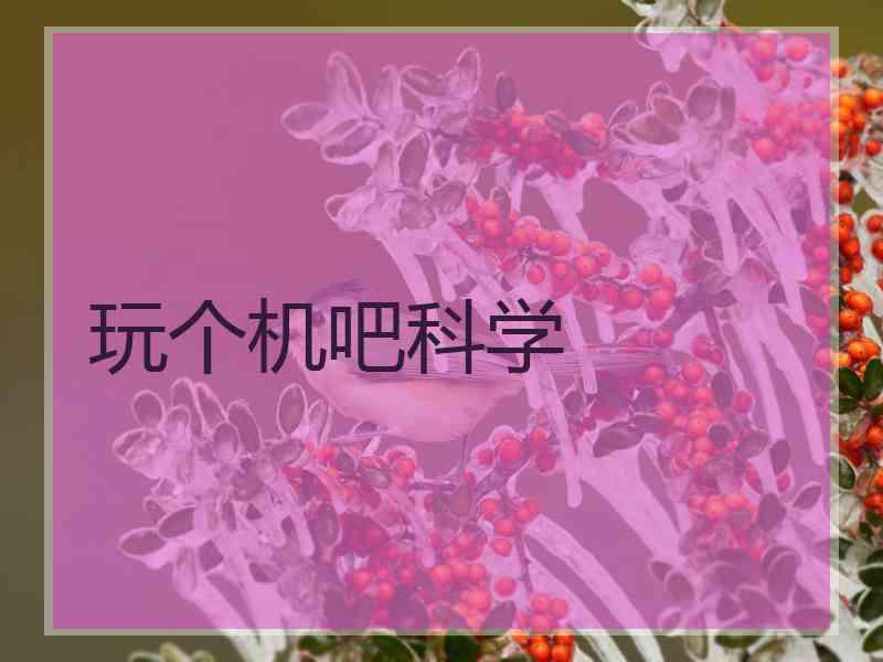 玩个机吧科学