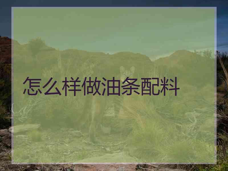怎么样做油条配料