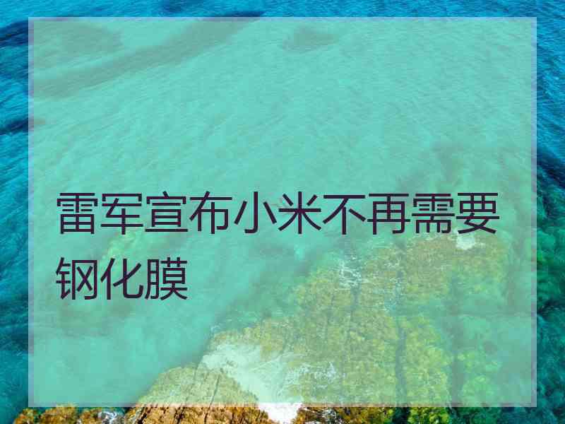 雷军宣布小米不再需要钢化膜