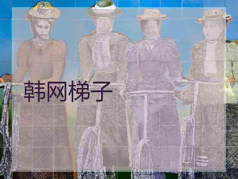 韩网梯子