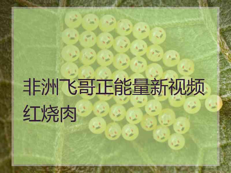 非洲飞哥正能量新视频红烧肉