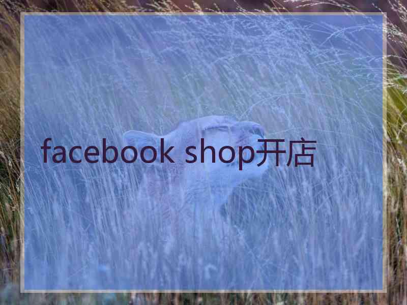 facebook shop开店