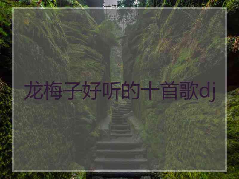龙梅子好听的十首歌dj