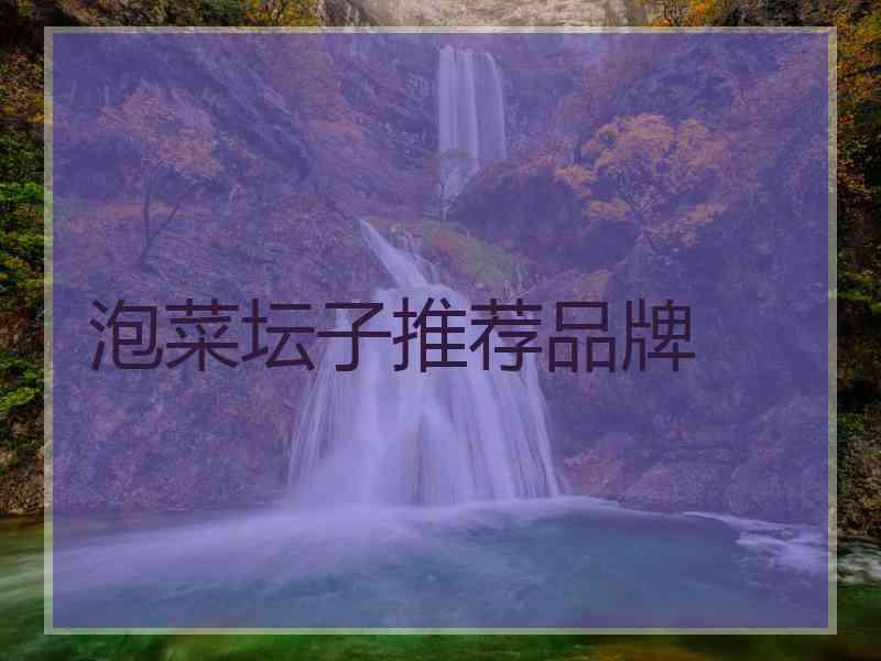 泡菜坛子推荐品牌