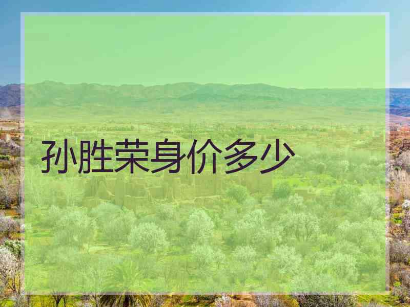 孙胜荣身价多少