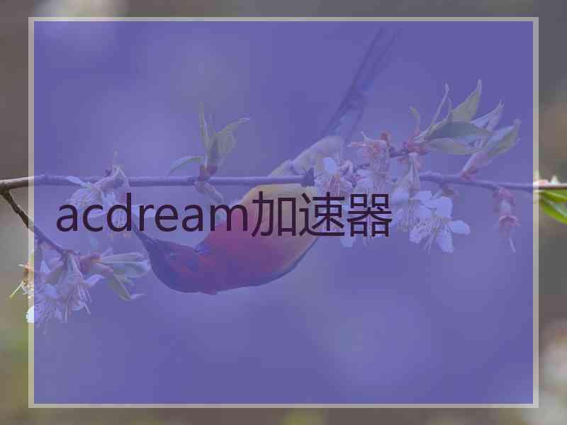 acdream加速器