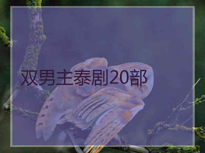 双男主泰剧20部
