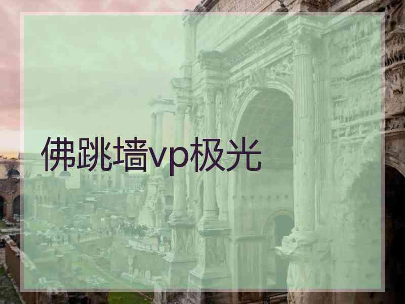 佛跳墙vp极光