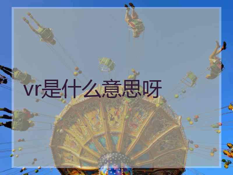 vr是什么意思呀