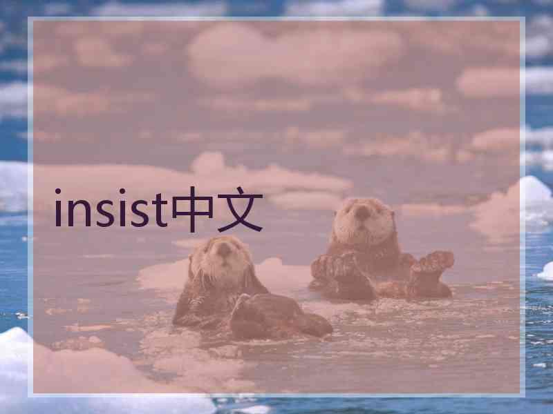insist中文