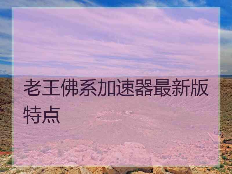 老王佛系加速器最新版特点