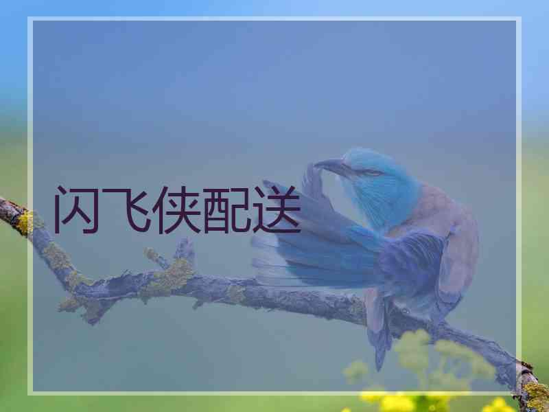 闪飞侠配送