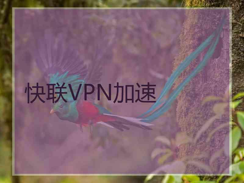 快联VPN加速
