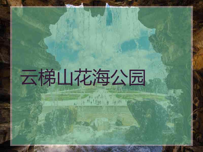 云梯山花海公园