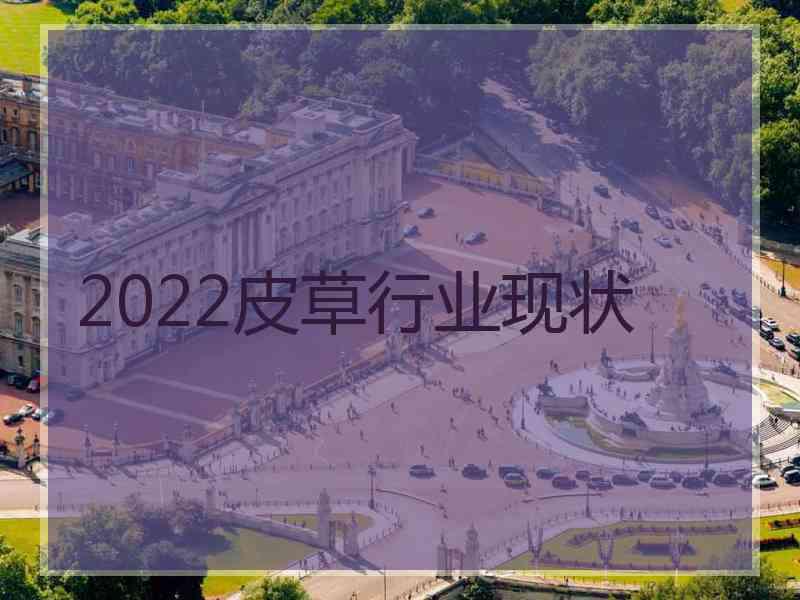 2022皮草行业现状