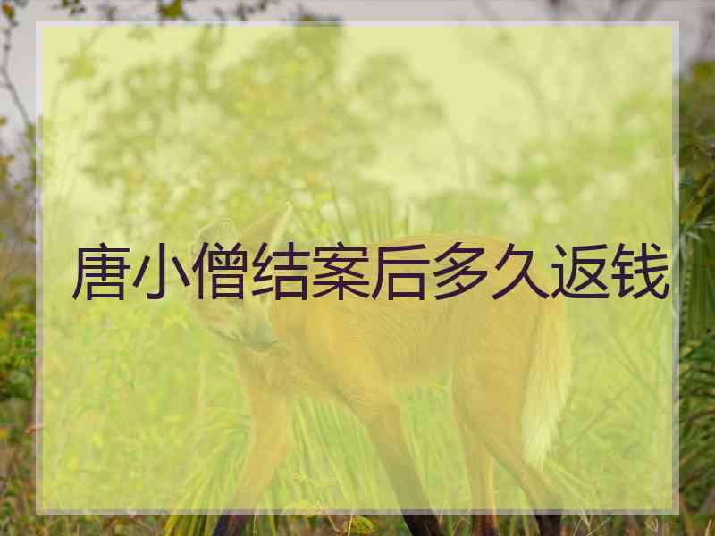 唐小僧结案后多久返钱