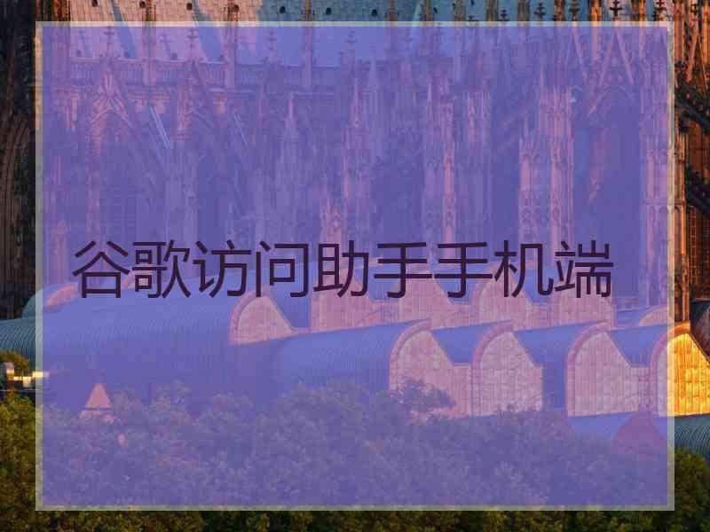 谷歌访问助手手机端