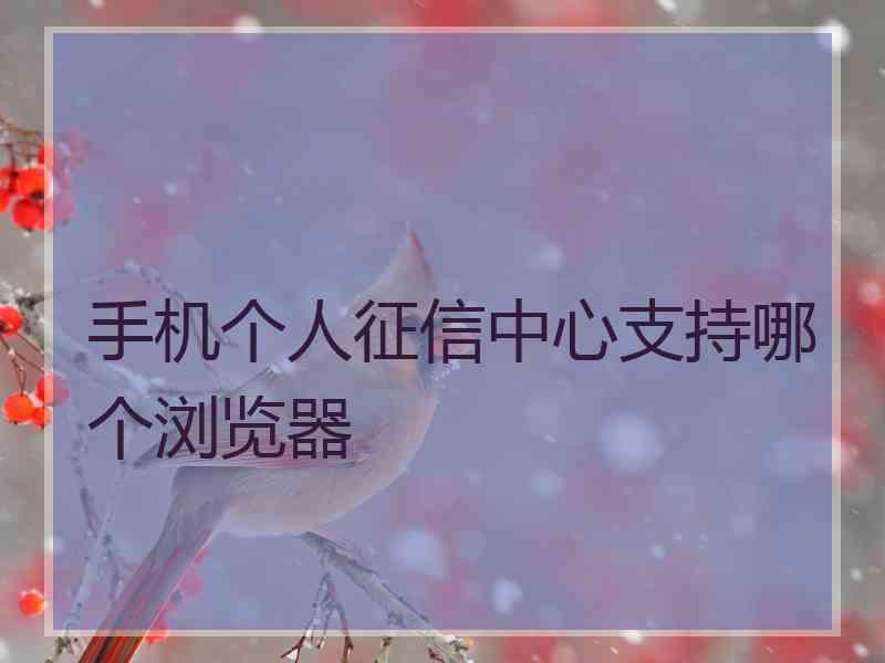 手机个人征信中心支持哪个浏览器