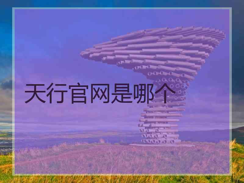 天行官网是哪个