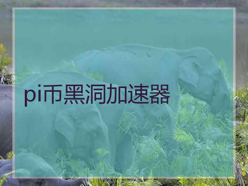 pi币黑洞加速器