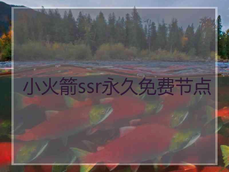 小火箭ssr永久免费节点