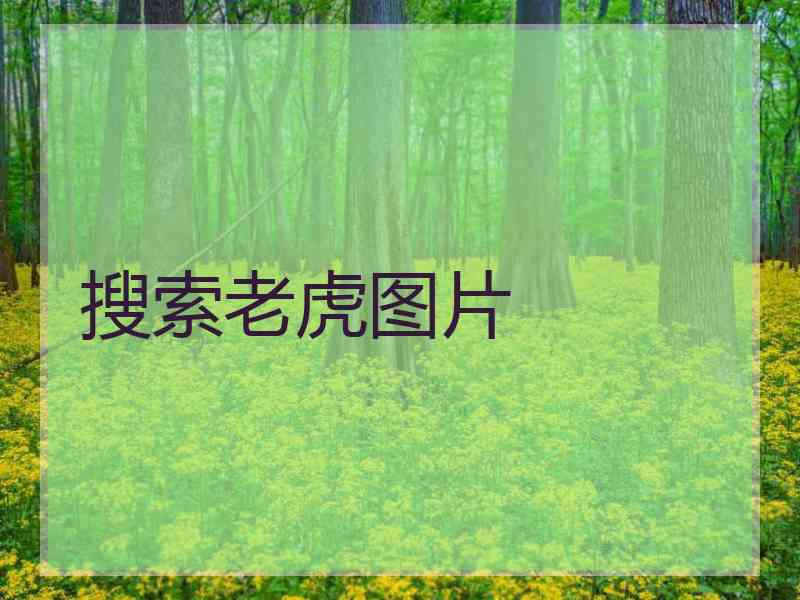 搜索老虎图片