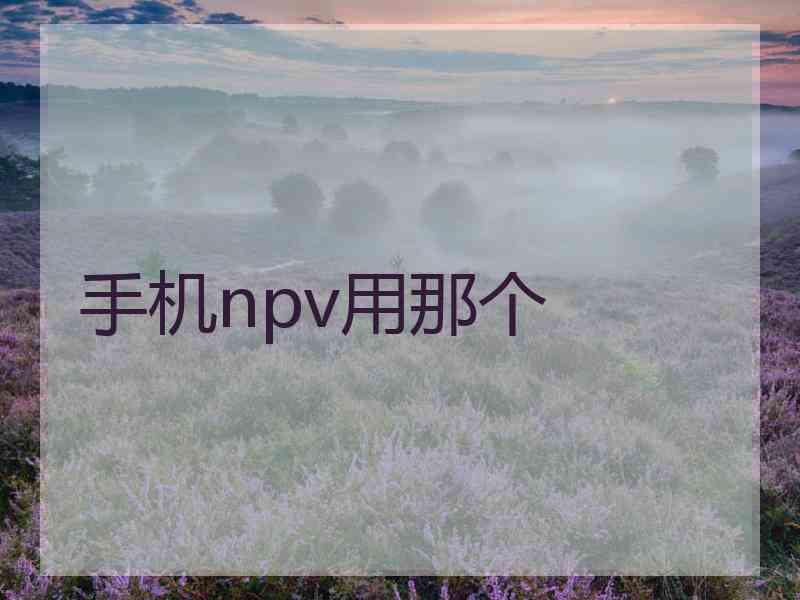 手机npv用那个