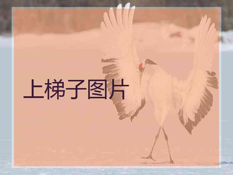 上梯子图片