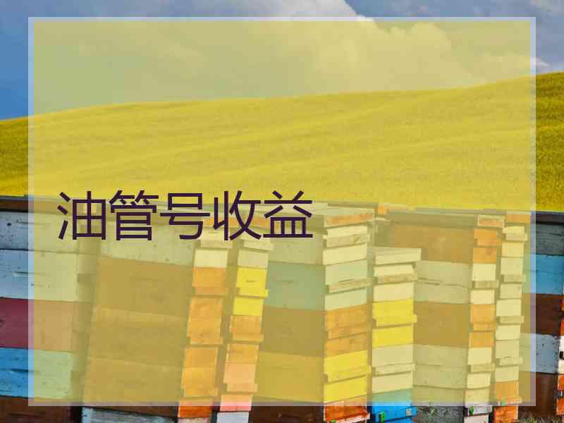 油管号收益