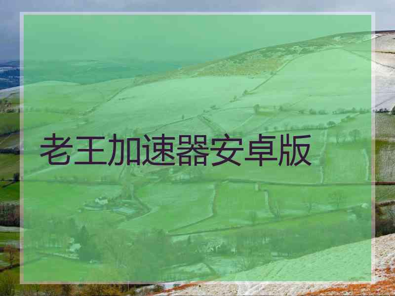 老王加速器安卓版