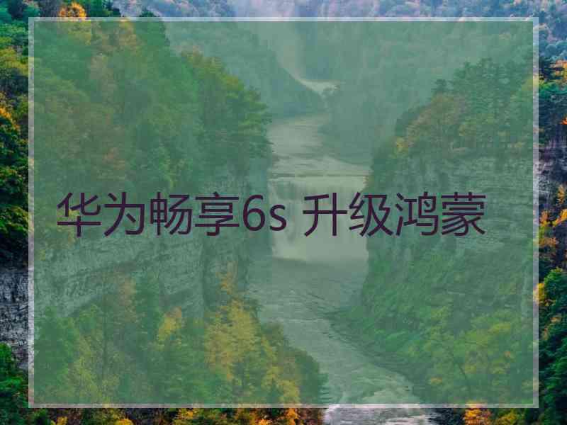 华为畅享6s 升级鸿蒙