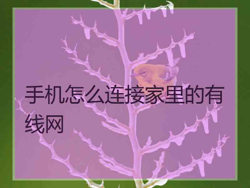 手机怎么连接家里的有线网