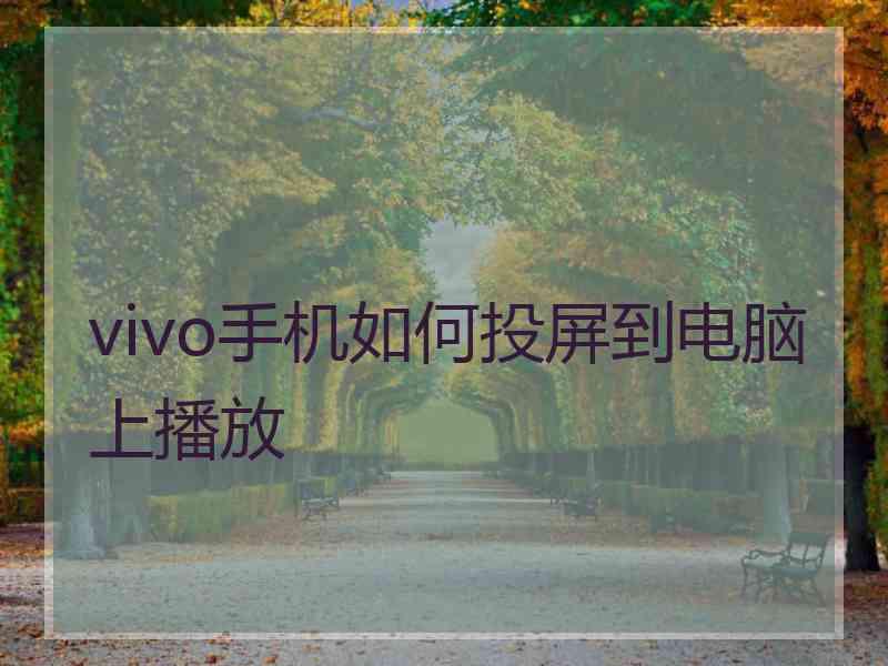 vivo手机如何投屏到电脑上播放