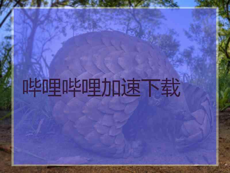 哔哩哔哩加速下载