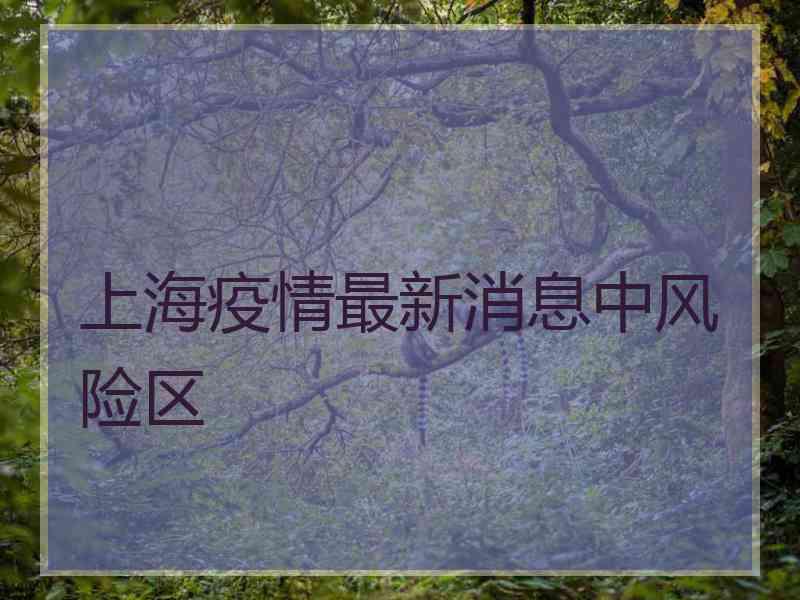上海疫情最新消息中风险区