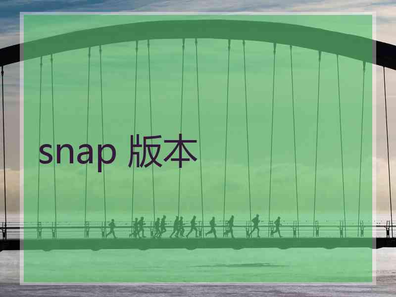 snap 版本