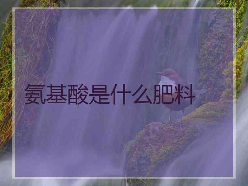 氨基酸是什么肥料
