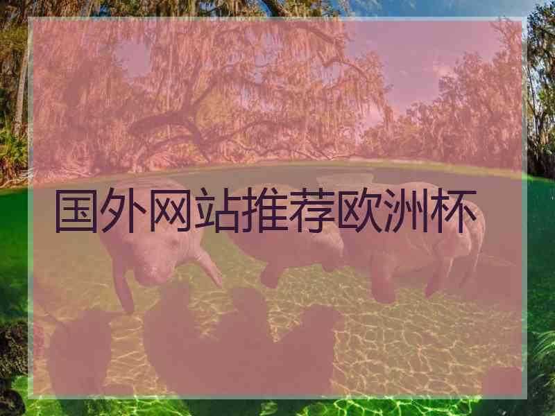 国外网站推荐欧洲杯