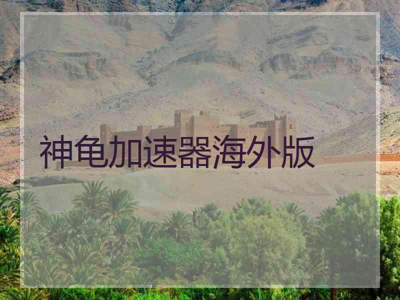 神龟加速器海外版