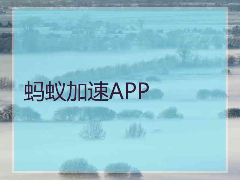 蚂蚁加速APP