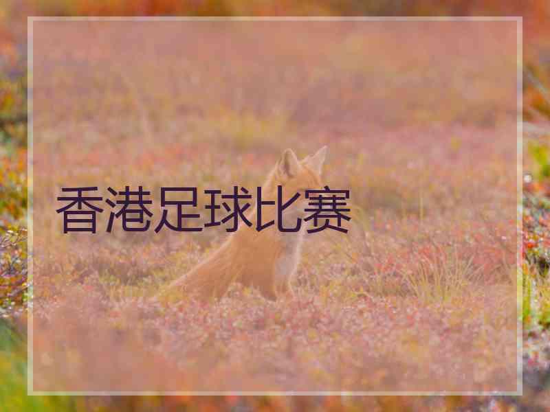 香港足球比赛